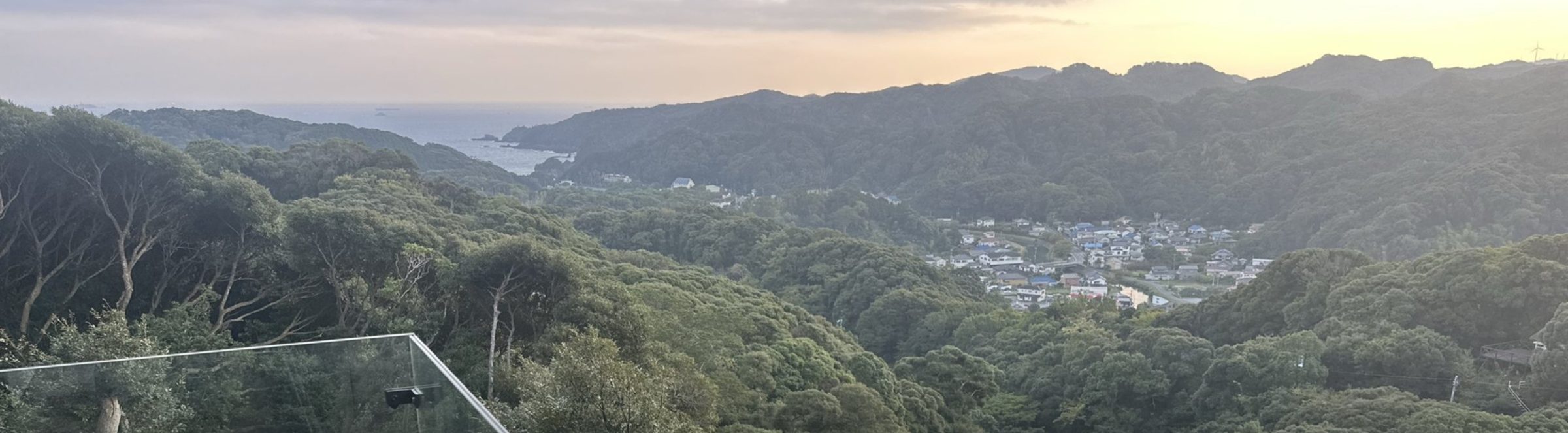 The view from Shimoda Hills over the forest to the bay